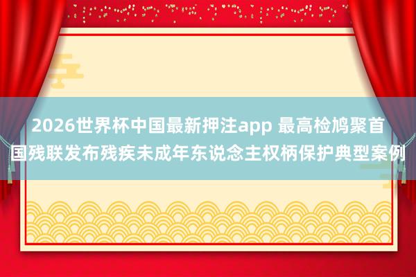 2026世界杯中国最新押注app 最高检鸠聚首国残联发布残疾未成年东说念主权柄保护典型案例