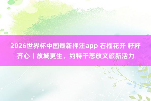 2026世界杯中国最新押注app 石榴花开 籽籽齐心丨故城更生,约特干怒放文旅新活力