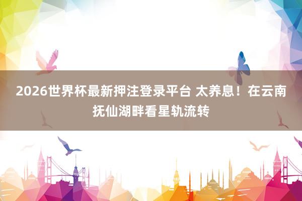 2026世界杯最新押注登录平台 太养息！在云南抚仙湖畔看星轨流转
