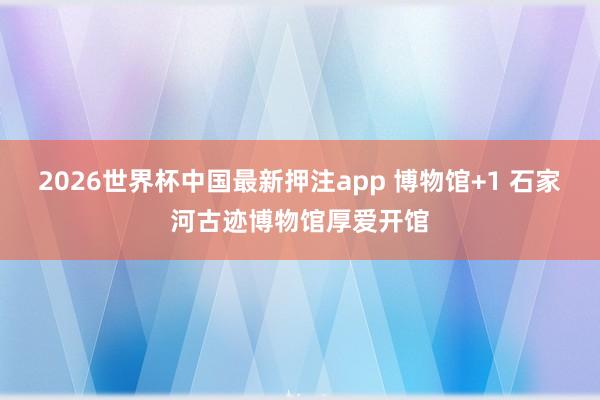 2026世界杯中国最新押注app 博物馆+1 石家河古迹博物馆厚爱开馆