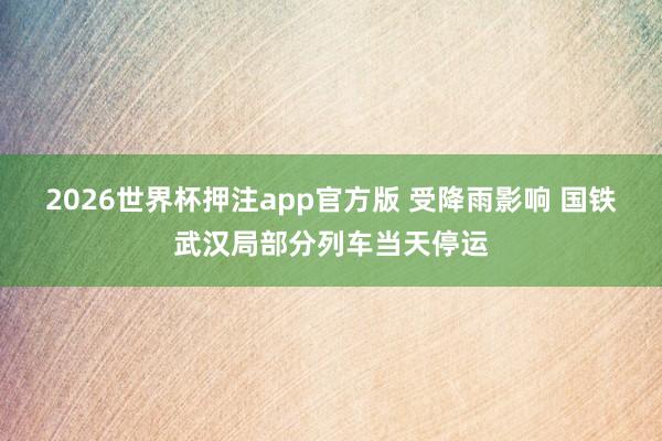 2026世界杯押注app官方版 受降雨影响 国铁武汉局部分列车当天停运