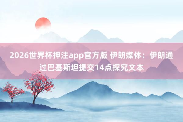 2026世界杯押注app官方版 伊朗媒体:伊朗通过巴基斯坦提交14点探究文本