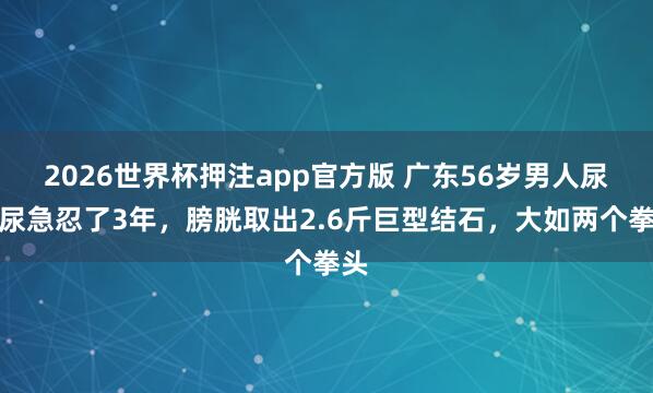 2026世界杯押注app官方版 广东56岁男人尿频尿急忍了3年,膀胱取出2.6斤巨型结石,大如两个拳头