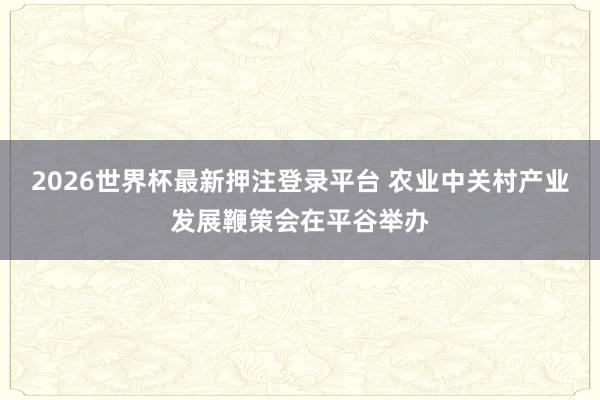 2026世界杯最新押注登录平台 农业中关村产业发展鞭策会在平谷举办