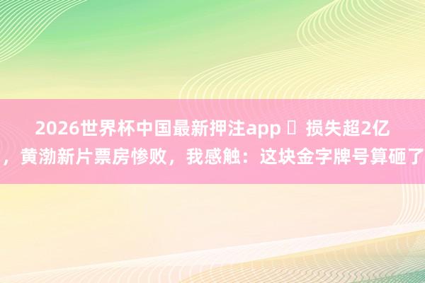 2026世界杯中国最新押注app 损失超2亿,黄渤新片票房惨败,我感触:这块金字牌号算砸了