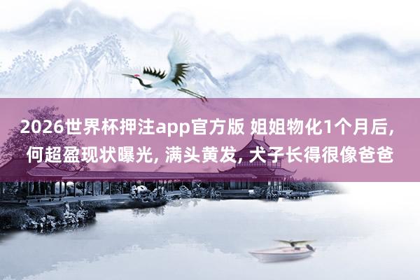 2026世界杯押注app官方版 姐姐物化1个月后, 何超盈现状曝光, 满头黄发, 犬子长得很像爸爸