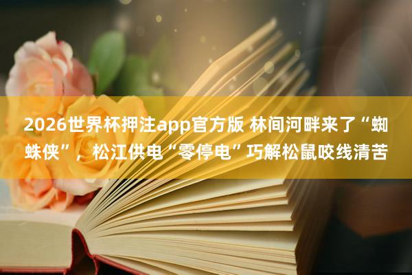 2026世界杯押注app官方版 林间河畔来了“蜘蛛侠”,松江供电“零停电”巧解松鼠咬线清苦