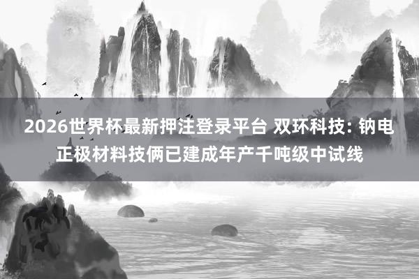 2026世界杯最新押注登录平台 双环科技: 钠电正极材料技俩已建成年产千吨级中试线