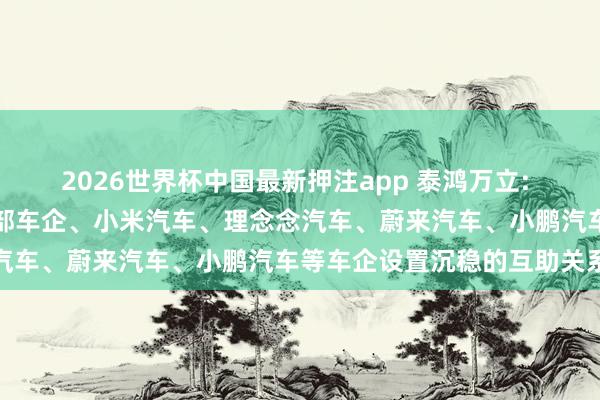 2026世界杯中国最新押注app 泰鸿万立: 已与某北好意思新动力头部车企、小米汽车、理念念汽车、蔚来汽车、小鹏汽车等车企设置沉稳的互助关系