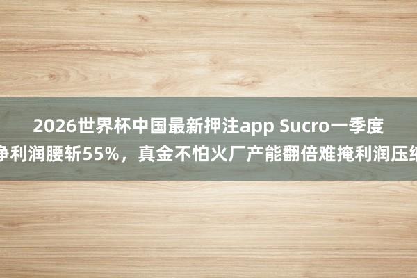 2026世界杯中国最新押注app Sucro一季度净利润腰斩55%，真金不怕火厂产能翻倍难掩利润压缩