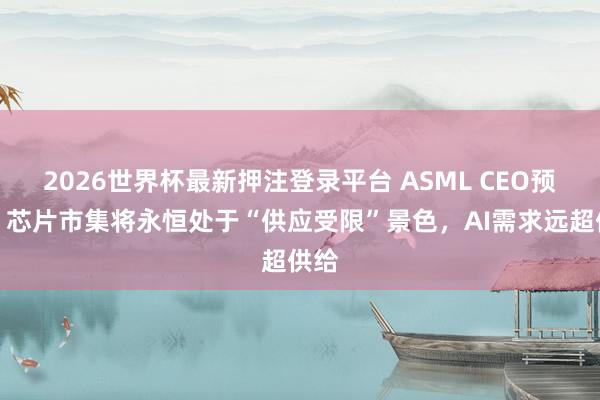 2026世界杯最新押注登录平台 ASML CEO预警:芯片市集将永恒处于“供应受限”景色,AI需求远超供给