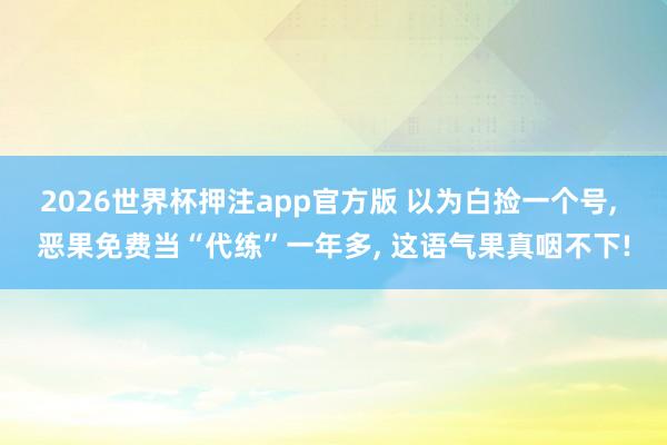 2026世界杯押注app官方版 以为白捡一个号, 恶果免费当“代练”一年多, 这语气果真咽不下!