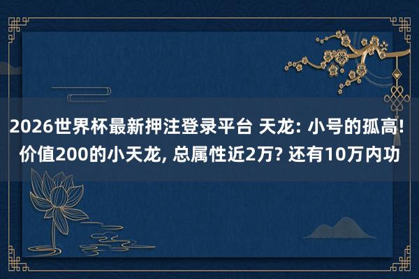 2026世界杯最新押注登录平台 天龙: 小号的孤高! 价值200的小天龙, 总属性近2万? 还有10万内功