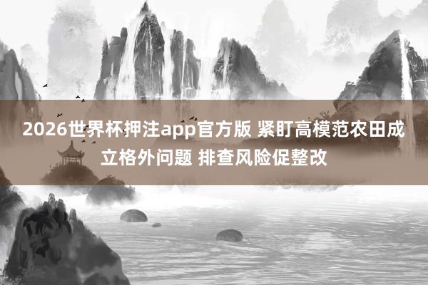 2026世界杯押注app官方版 紧盯高模范农田成立格外问题 排查风险促整改