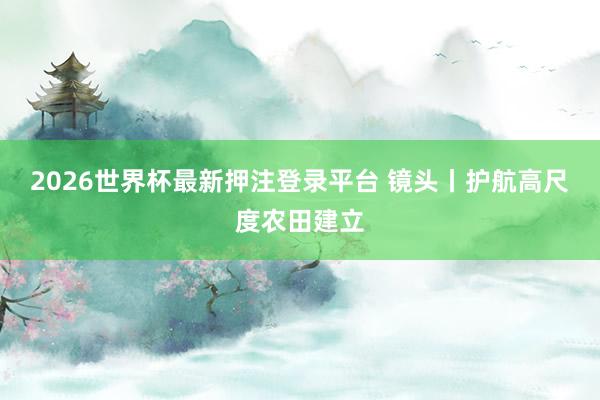 2026世界杯最新押注登录平台 镜头丨护航高尺度农田建立