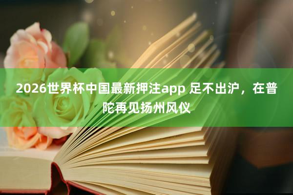 2026世界杯中国最新押注app 足不出沪,在普陀再见扬州风仪