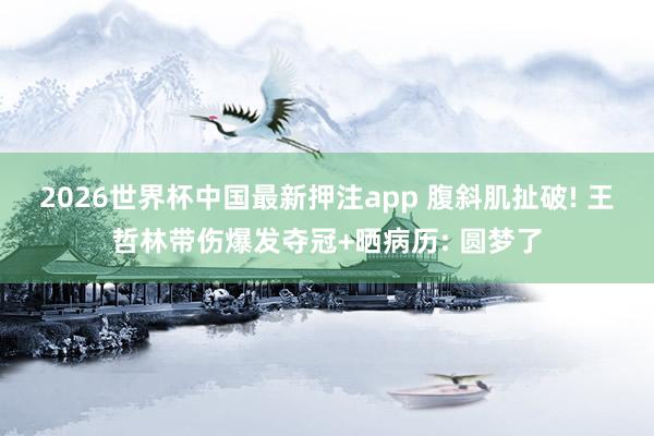 2026世界杯中国最新押注app 腹斜肌扯破! 王哲林带伤爆发夺冠+晒病历: 圆梦了