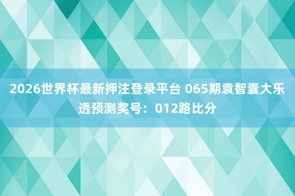 2026世界杯最新押注登录平台 065期袁智囊大乐透预测奖号:012路比分