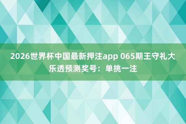 2026世界杯中国最新押注app 065期王守礼大乐透预测奖号：单挑一注