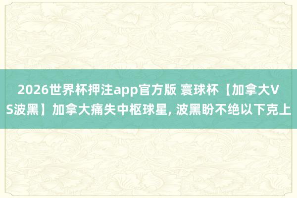 2026世界杯押注app官方版 寰球杯【加拿大VS波黑】加拿大痛失中枢球星, 波黑盼不绝以下克上