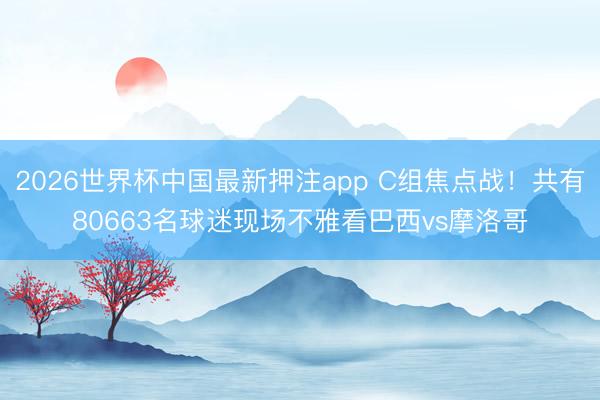2026世界杯中国最新押注app C组焦点战!共有80663名球迷现场不雅看巴西vs摩洛哥