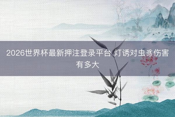 2026世界杯最新押注登录平台 灯诱对虫豸伤害有多大