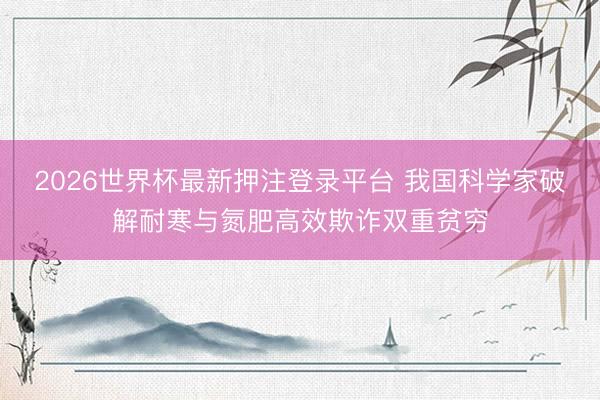 2026世界杯最新押注登录平台 我国科学家破解耐寒与氮肥高效欺诈双重贫穷