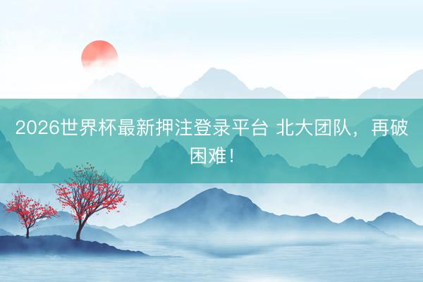 2026世界杯最新押注登录平台 北大团队,再破困难!