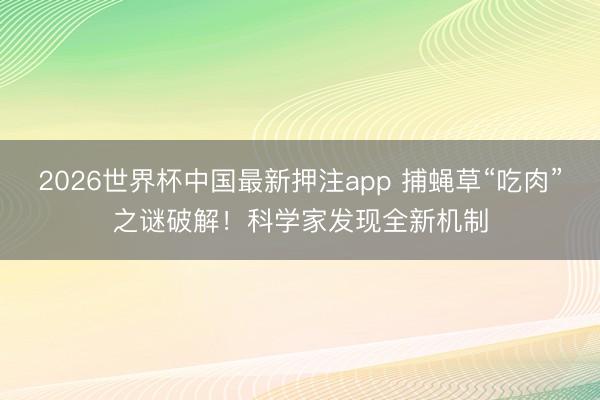 2026世界杯中国最新押注app 捕蝇草“吃肉”之谜破解！科学家发现全新机制