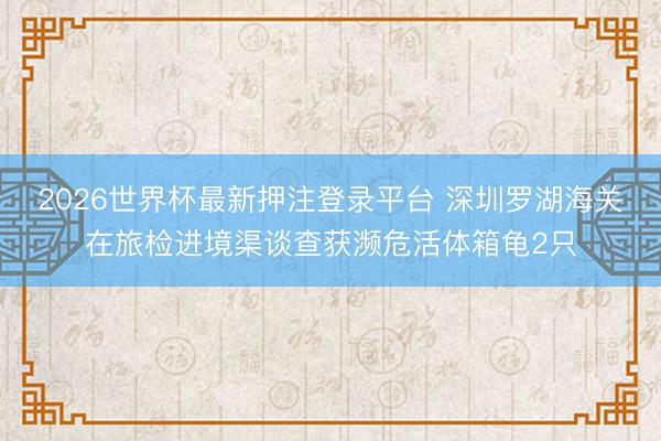 2026世界杯最新押注登录平台 深圳罗湖海关在旅检进境渠谈查获濒危活体箱龟2只